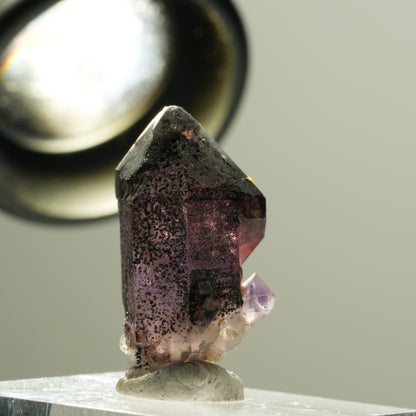 Seltene Phantom Amethyst Skelett Zepter Spitze Brandberg, Namibia 24*13*12mm #14181