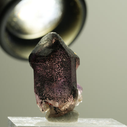 Seltene Phantom Amethyst Skelett Zepter Spitze Brandberg, Namibia 24*13*12mm #14181
