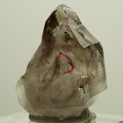 Enhydro Skelett Phantom Rauchquarz Zepter Spitze, 1x Blase Goboboseb, Namibia 31*24*17mm #14182