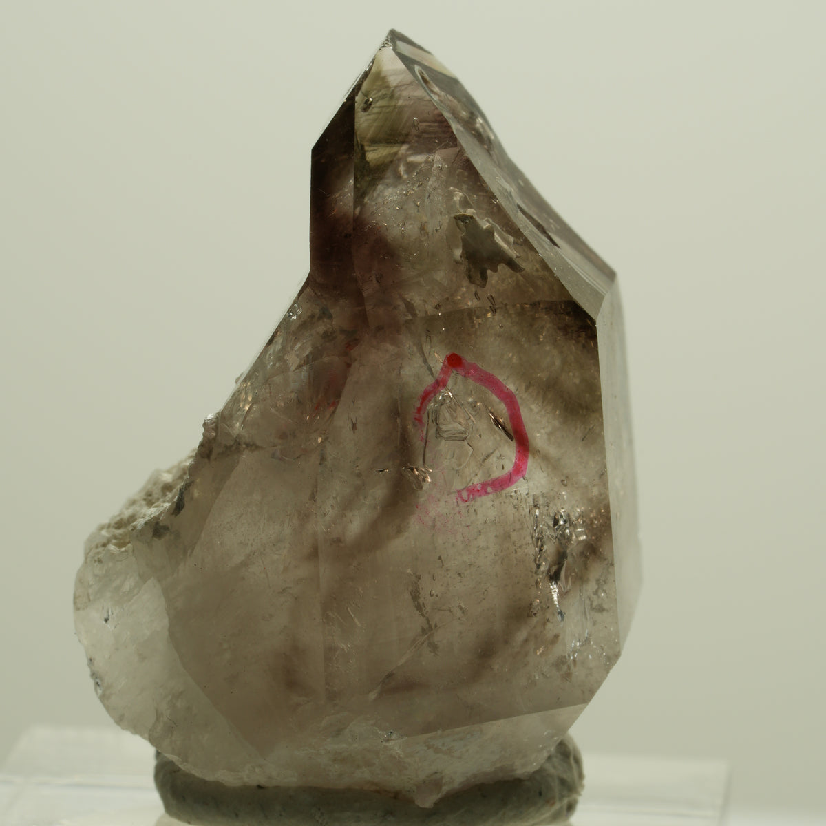 Enhydro Skelett Phantom Rauchquarz Zepter Spitze, 1x Blase Goboboseb, Namibia 31*24*17mm #14182