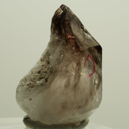Enhydro Skelett Phantom Rauchquarz Zepter Spitze, 1x Blase Goboboseb, Namibia 31*24*17mm #14182