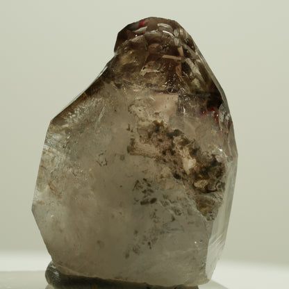 Enhydro Skelett Phantom Rauchquarz Zepter Spitze, 1x Blase Goboboseb, Namibia 31*24*17mm #14182