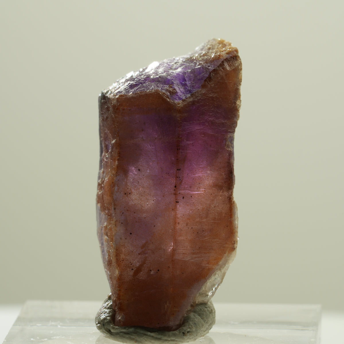 Seltener Skelett Phantom Amethyst Kristall Brandberg, Namibia 31*16*13mm #14185
