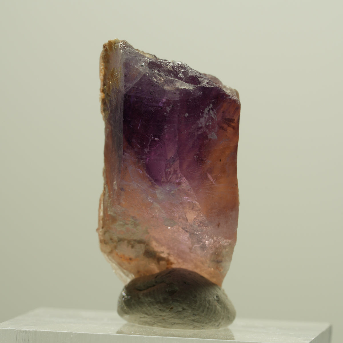 Seltener Skelett Phantom Amethyst Kristall Brandberg, Namibia 31*16*13mm #14185