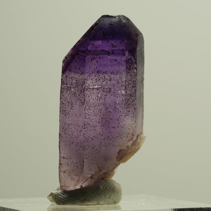 Seltene Phantom Skelett Amethyst mit Eisen Spitze Brandberg, Namibia 30*12*9mm #14190
