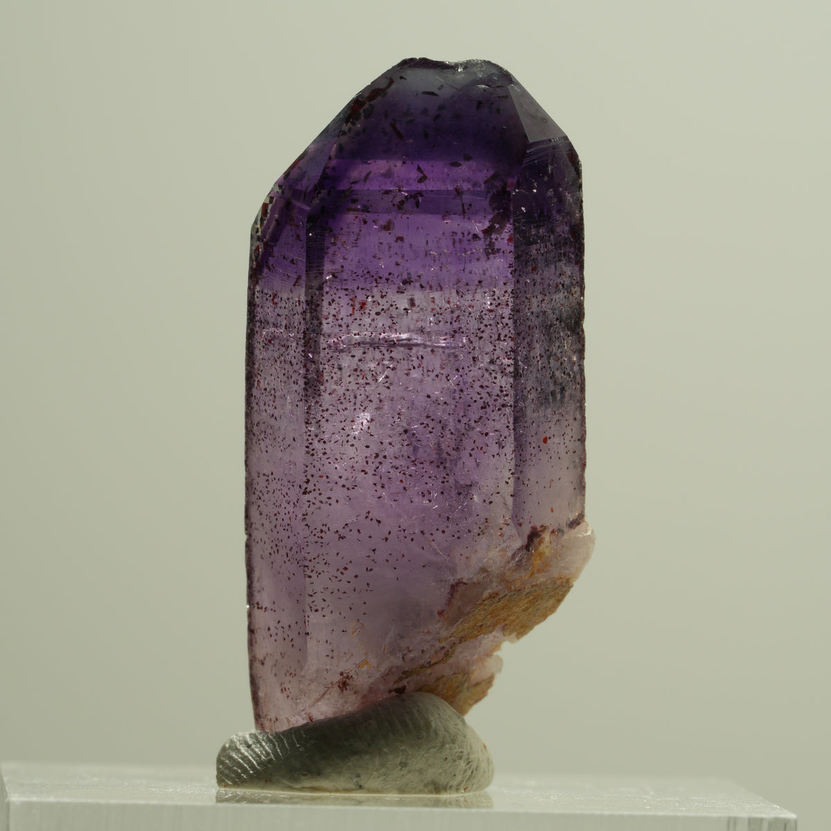 Seltene Phantom Skelett Amethyst mit Eisen Spitze Brandberg, Namibia 30*12*9mm #14190