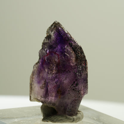 Enhydro Skelett Phantom Amethyst Spitze, 1x Blase Brandberg, Namibia 25*15*13mm #14193