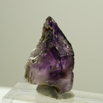 Enhydro Skelett Phantom Amethyst Spitze, 1x Blase Brandberg, Namibia 25*15*13mm #14193