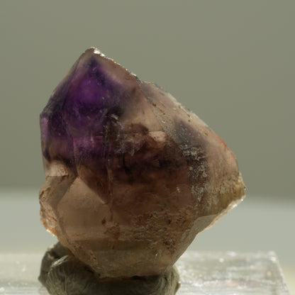 Seltene Phantom Amethyst Skelett Zepter Spitze Brandberg, Namibia 20*17*10mm #14197
