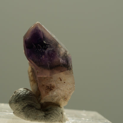 Seltene Phantom Amethyst Skelett Zepter Spitze Brandberg, Namibia 20*17*10mm #14197