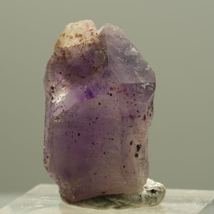 Seltene Phantom Skelett Amethyst mit Eisen Spitze Brandberg, Namibia 28*17*13mm #14201