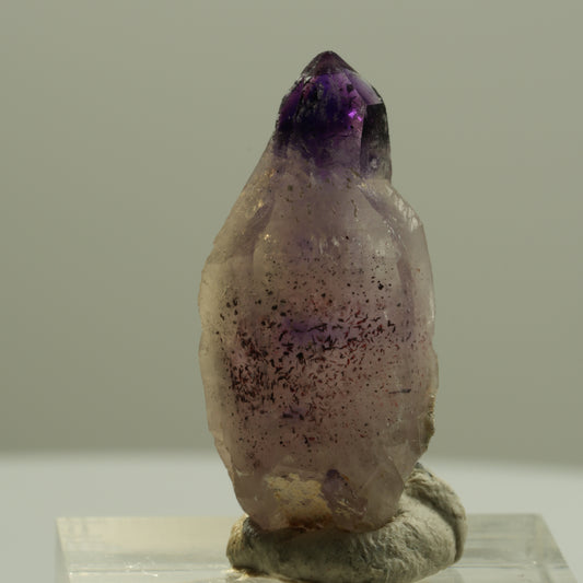 Seltene Phantom Amethyst Zepter mit Eisen Spitze Brandberg, Namibia 30*14*12mm #14203