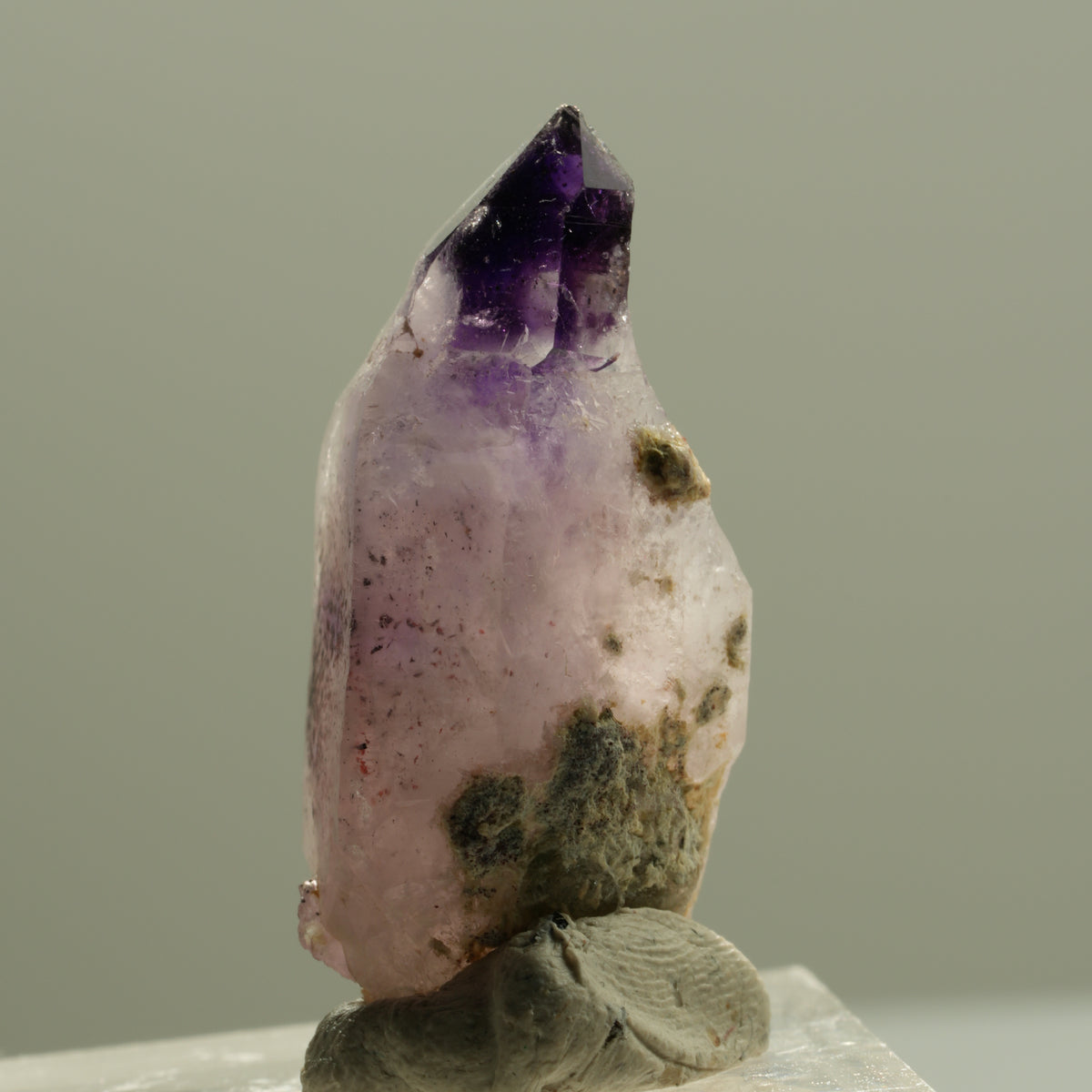 Seltene Phantom Amethyst Zepter mit Eisen Spitze Brandberg, Namibia 30*14*12mm #14203