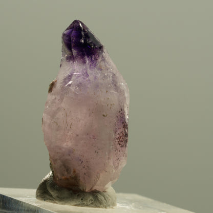 Seltene Phantom Amethyst Zepter mit Eisen Spitze Brandberg, Namibia 30*14*12mm #14203