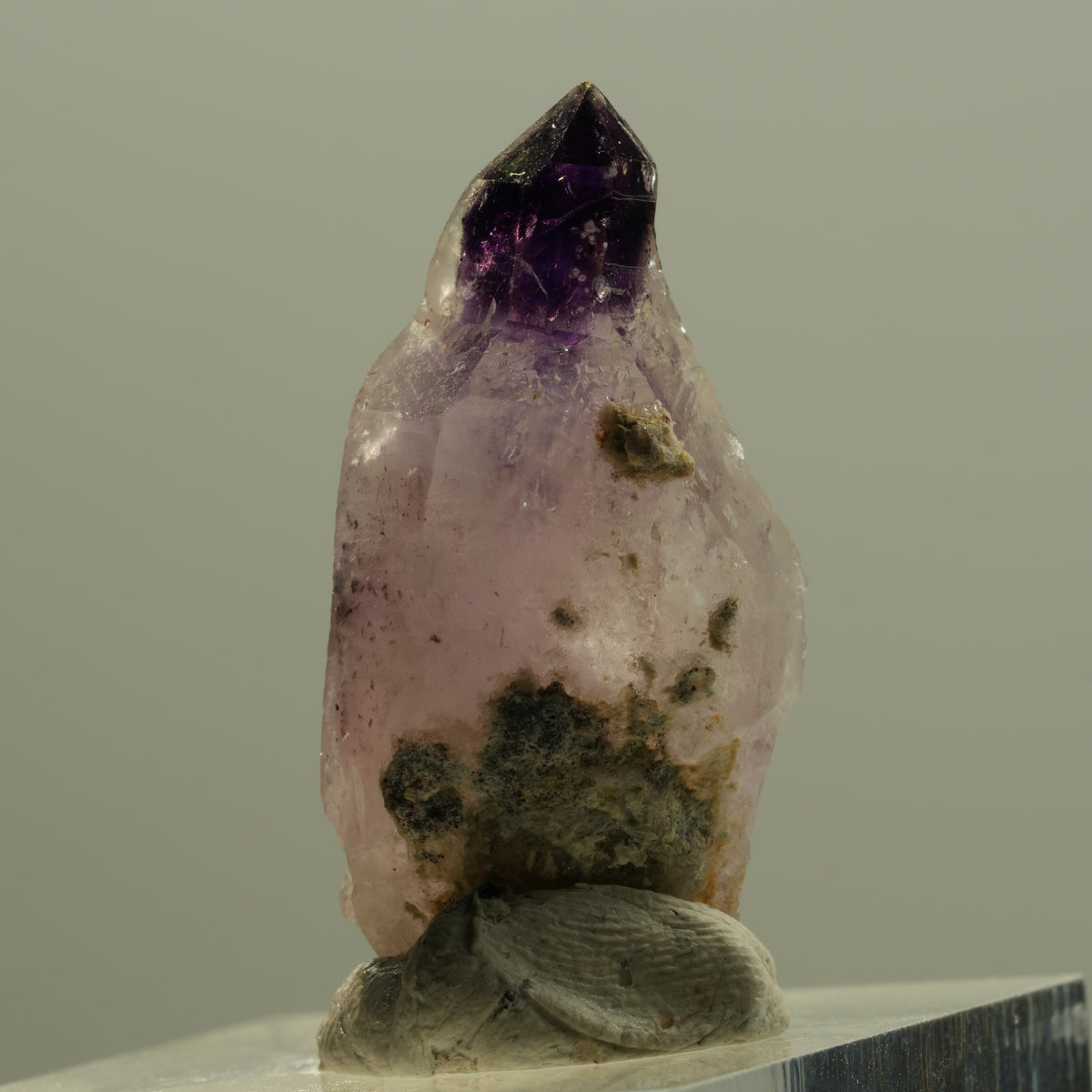 Seltene Phantom Amethyst Zepter mit Eisen Spitze Brandberg, Namibia 30*14*12mm #14203