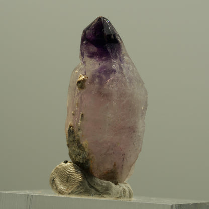 Seltene Phantom Amethyst Zepter mit Eisen Spitze Brandberg, Namibia 30*14*12mm #14203