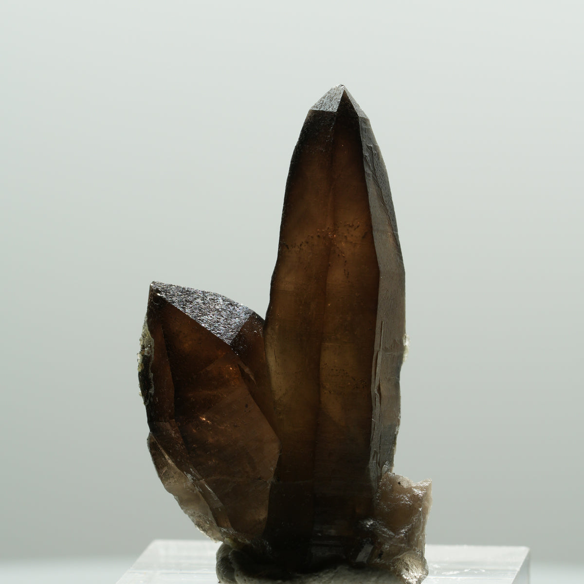 Skelett Rauchquarz Kristall Spitze mit Hyalit Opal Erongo, Namibia 37*26*13mm #14216