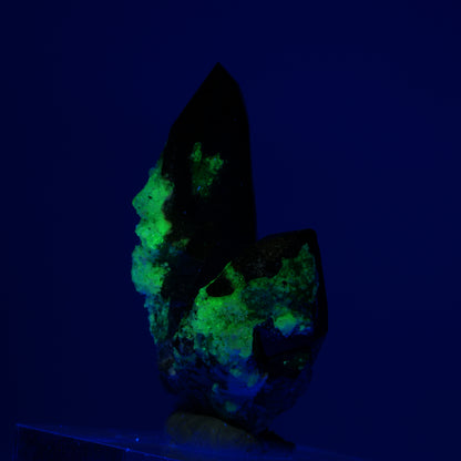 Skelett Rauchquarz Kristall Spitze mit Hyalit Opal Erongo, Namibia 37*26*13mm #14216
