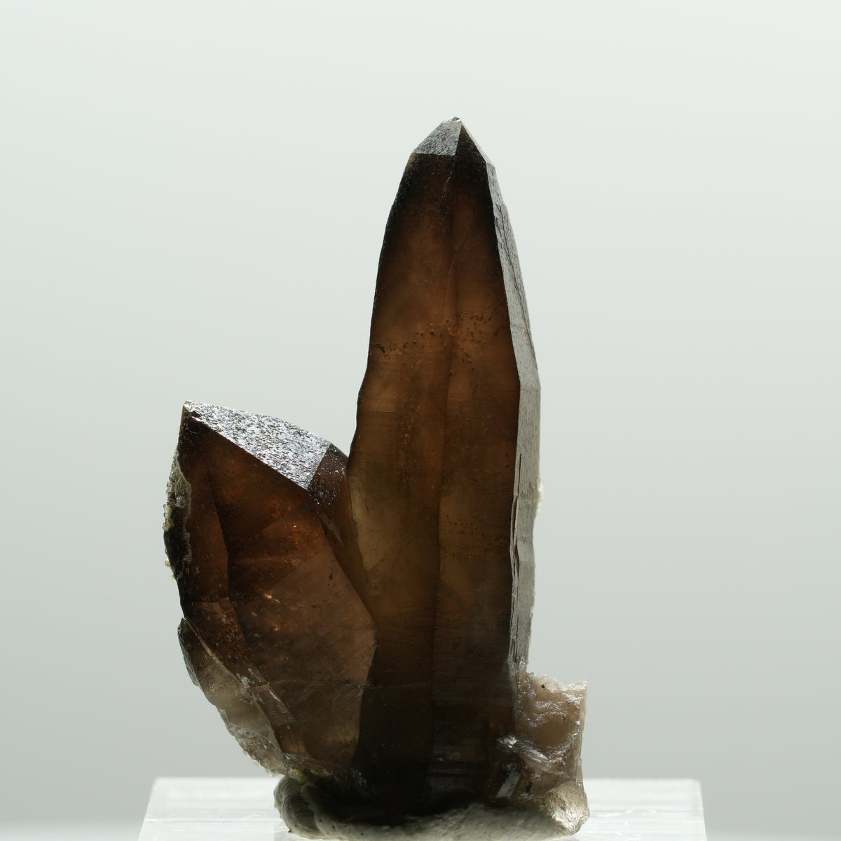 Skelett Rauchquarz Kristall Spitze mit Hyalit Opal Erongo, Namibia 37*26*13mm #14216