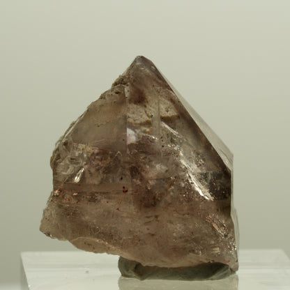 Seltene Phantom Rauchquarz Skelett Zepter Spitze Goboboseb, Namibia 22*20*20mm #14218