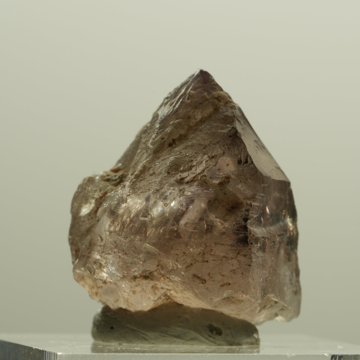 Seltene Phantom Rauchquarz Skelett Zepter Spitze Goboboseb, Namibia 22*20*20mm #14218