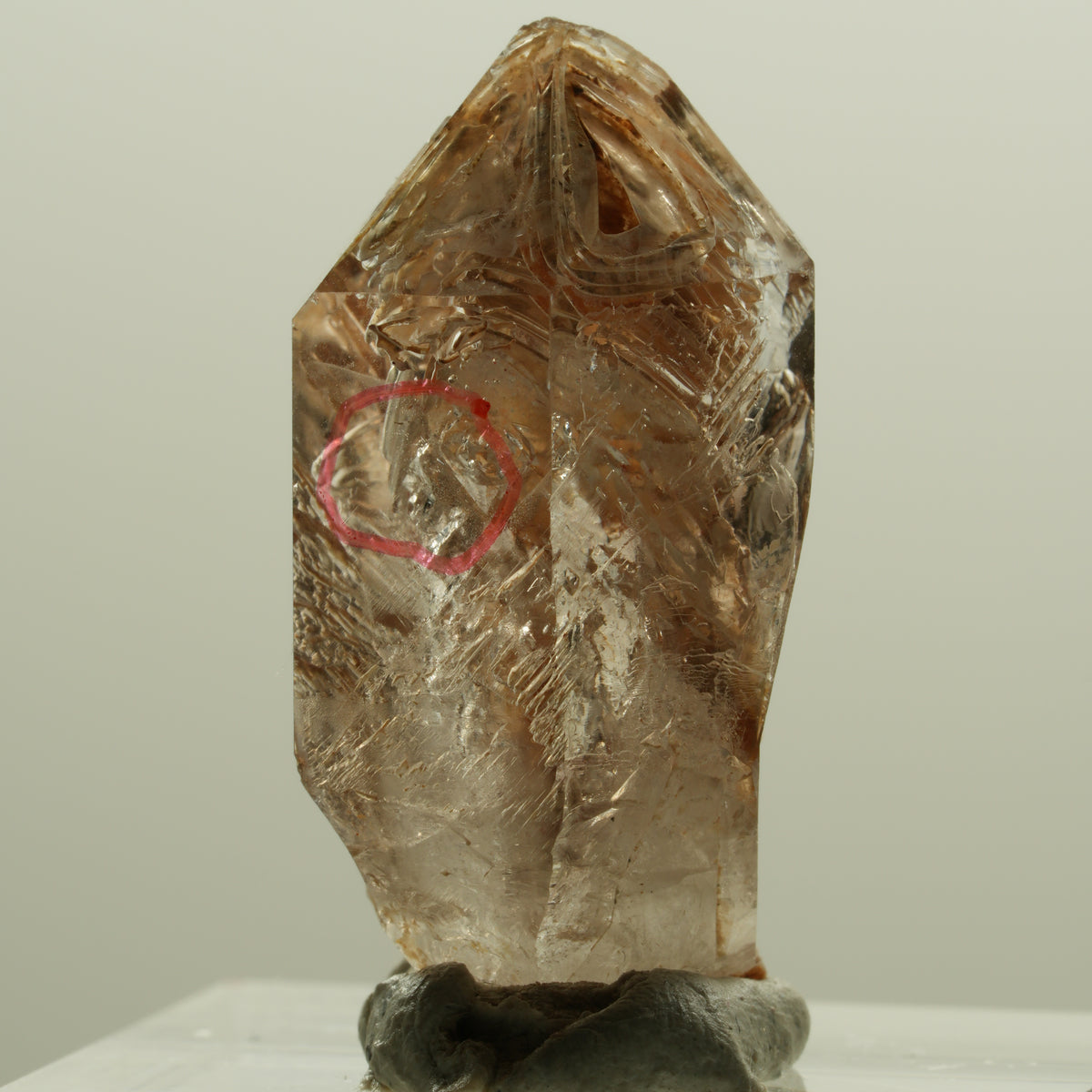 Enhydro Skelett Fenster Phantom Rauchquarz Zepter, 1x Blase Goboboseb, Namibia 30*15*13mm #14219