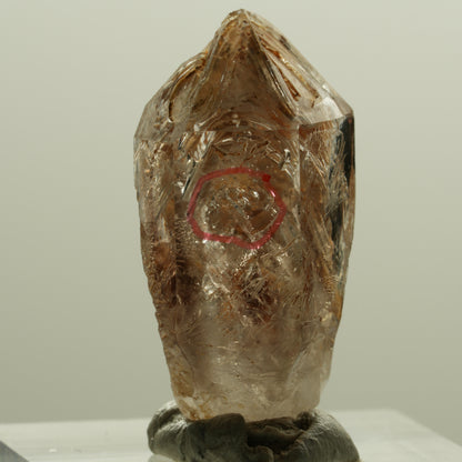 Enhydro Skelett Fenster Phantom Rauchquarz Zepter, 1x Blase Goboboseb, Namibia 30*15*13mm #14219