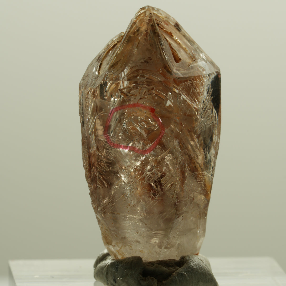 Enhydro Skelett Fenster Phantom Rauchquarz Zepter, 1x Blase Goboboseb, Namibia 30*15*13mm #14219
