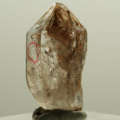 Enhydro Skelett Fenster Phantom Rauchquarz Zepter, 1x Blase Goboboseb, Namibia 30*15*13mm #14219