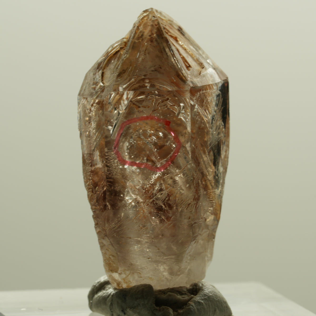 Enhydro Skelett Fenster Phantom Rauchquarz Zepter, 1x Blase Goboboseb, Namibia 30*15*13mm #14219