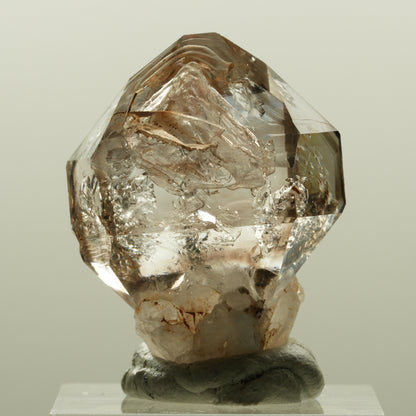 Skelett Fenster Phantom Rauchquarz Zepter Spitze Goboboseb, Namibia 33*25*20mm #14220