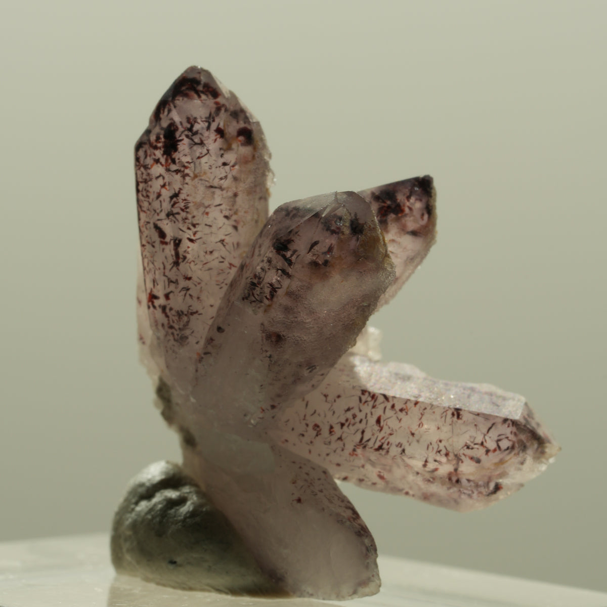 Seltene Harlekin Phantom Amethyst Gruppe Brandberg, Namibia 25*22*17mm #14222