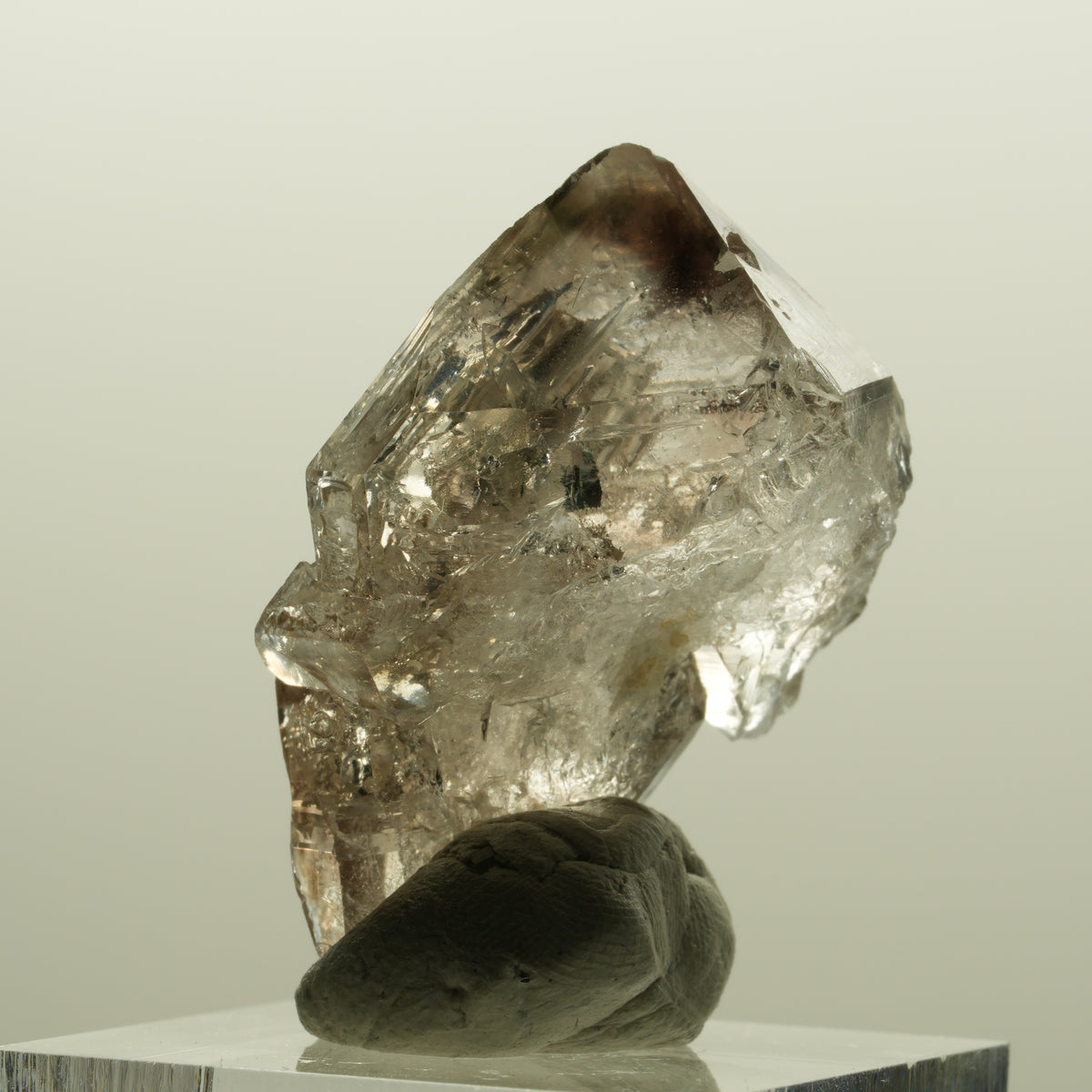 Skelett Phantom Rauchquarz Fenster Zepter Doppelender Spitze Goboboseb, Namibia 35*25*18mm #14226