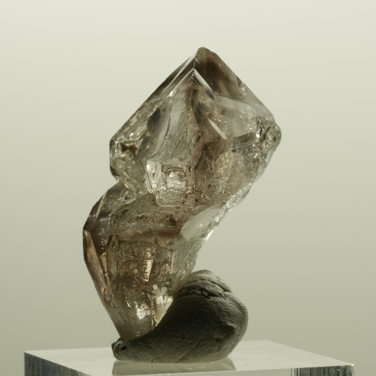 Skelett Phantom Rauchquarz Fenster Zepter Doppelender Spitze Goboboseb, Namibia 35*25*18mm #14226
