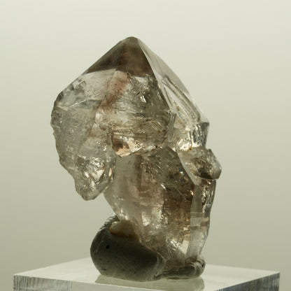 Skelett Phantom Rauchquarz Fenster Zepter Doppelender Spitze Goboboseb, Namibia 35*25*18mm #14226
