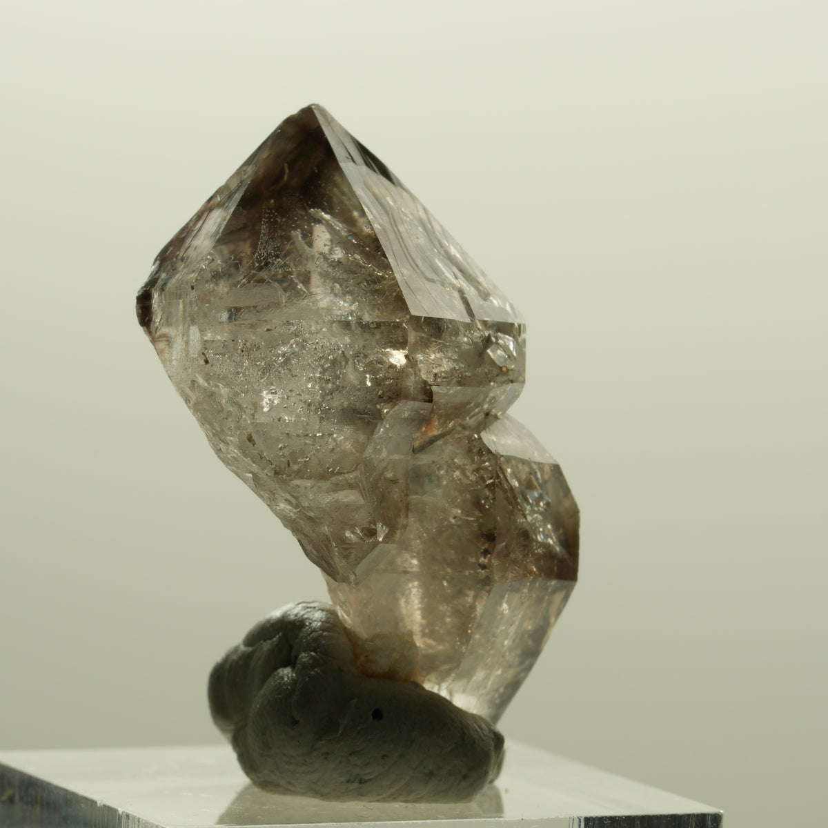 Skelett Phantom Rauchquarz Fenster Zepter Doppelender Spitze Goboboseb, Namibia 35*25*18mm #14226