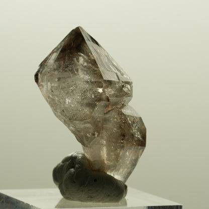 Skelett Phantom Rauchquarz Fenster Zepter Doppelender Spitze Goboboseb, Namibia 35*25*18mm #14226