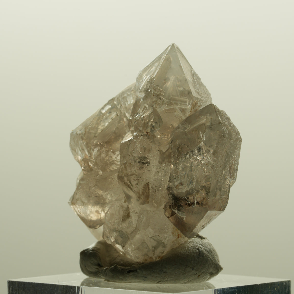 Skelett Phantom Rauchquarz Fenster Zepter Doppelender Spitze Goboboseb, Namibia 34*30*17mm #14227