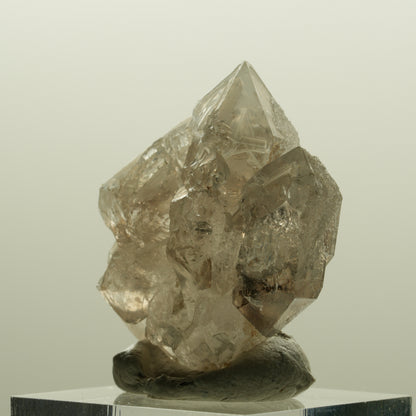 Skelett Phantom Rauchquarz Fenster Zepter Doppelender Spitze Goboboseb, Namibia 34*30*17mm #14227