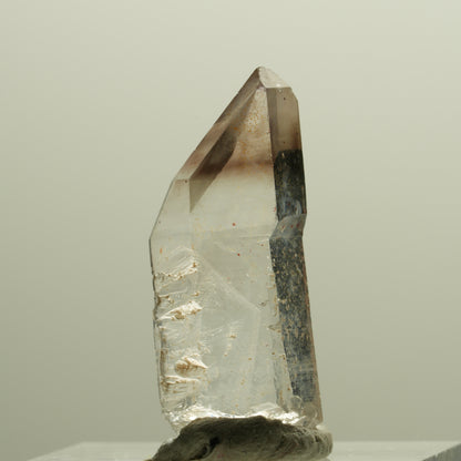 Seltene Phantom Rauchquarz Skelett Zepter Spitze Goboboseb, Namibia 28*11*99mm #14231