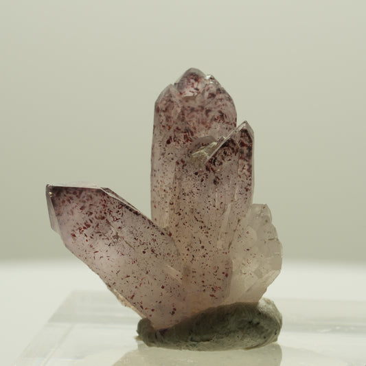 Seltene Harlekin Phantom Amethyst Gruppe Brandberg, Namibia 19*18*16mm #14235