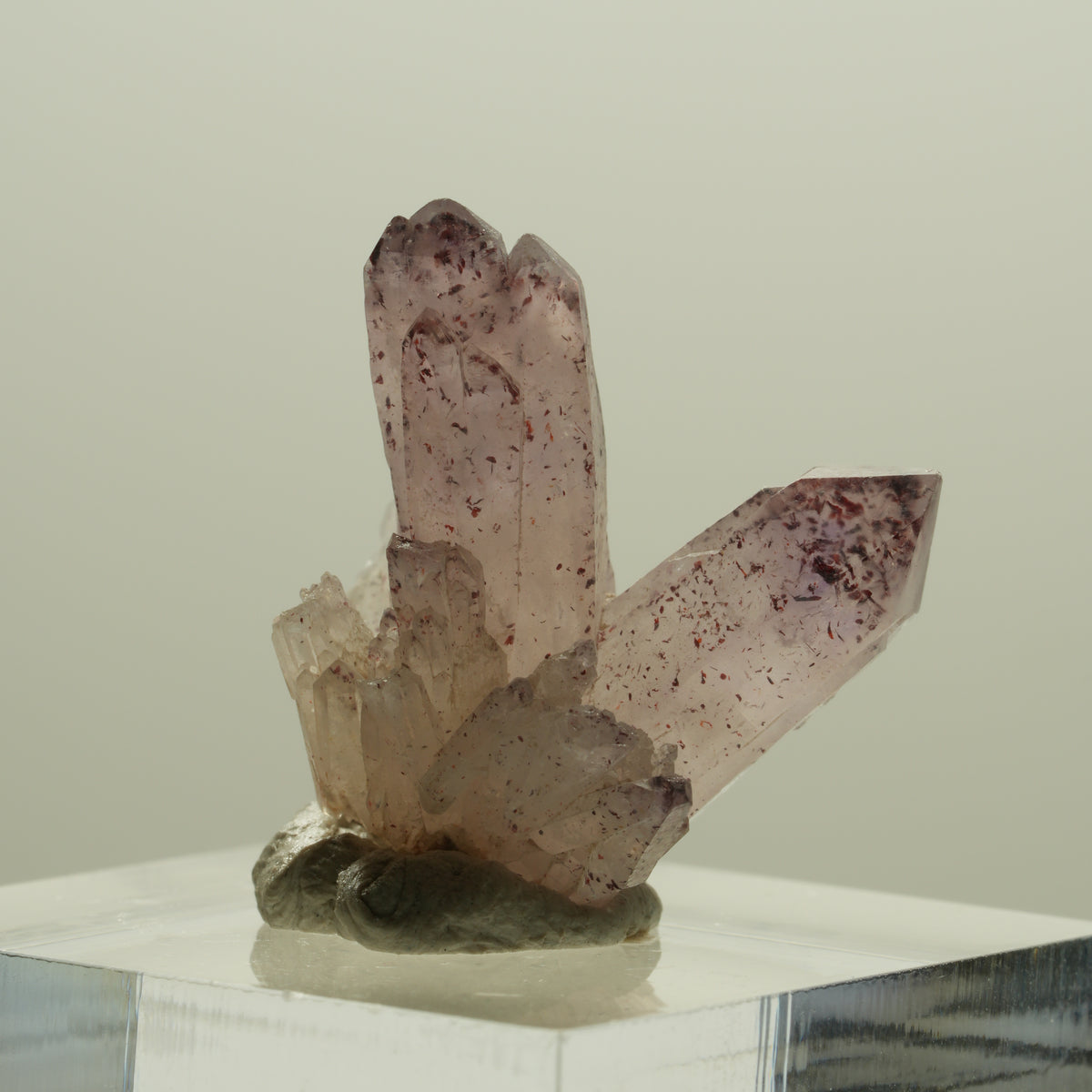 Seltene Harlekin Phantom Amethyst Gruppe Brandberg, Namibia 19*18*16mm #14235