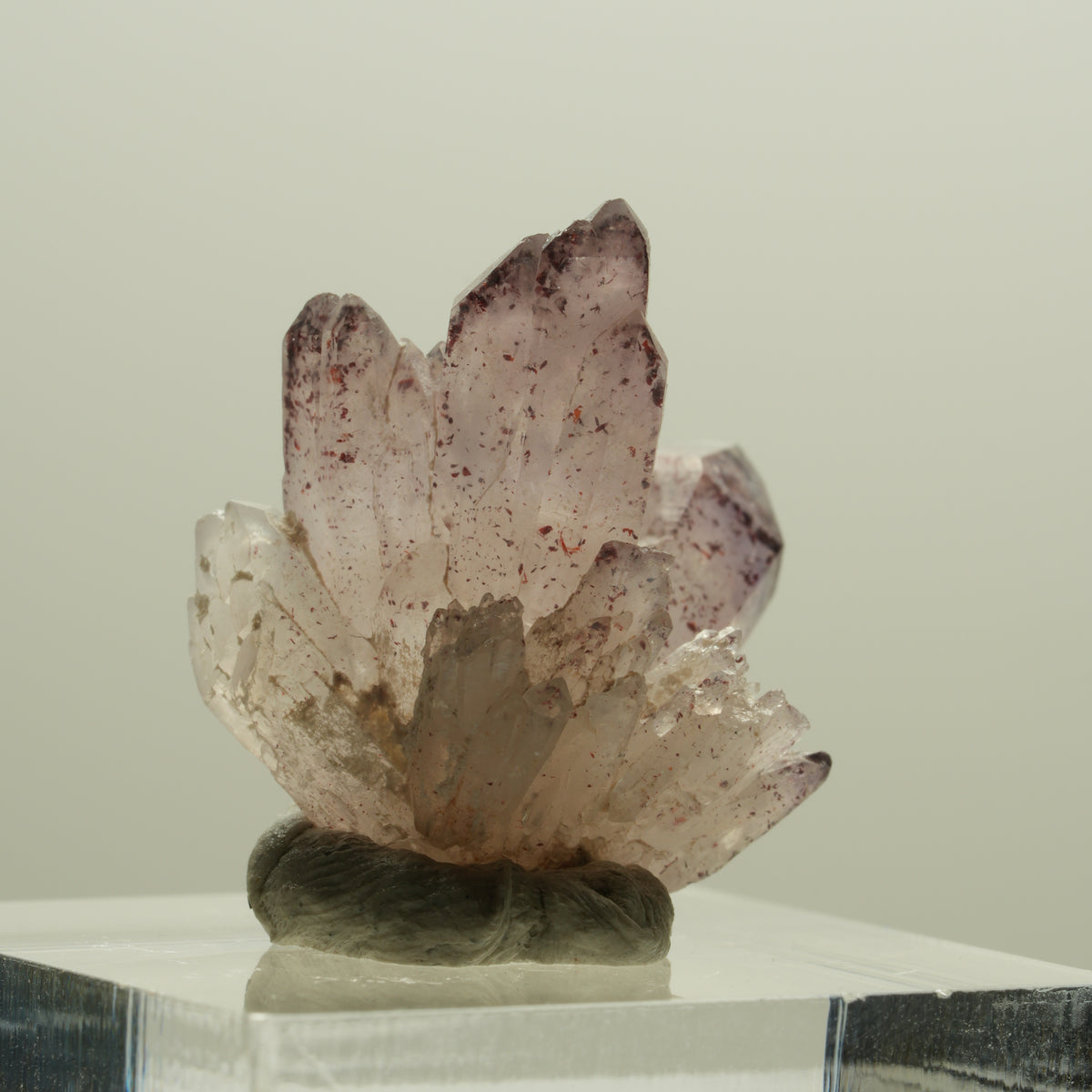 Seltene Harlekin Phantom Amethyst Gruppe Brandberg, Namibia 19*18*16mm #14235