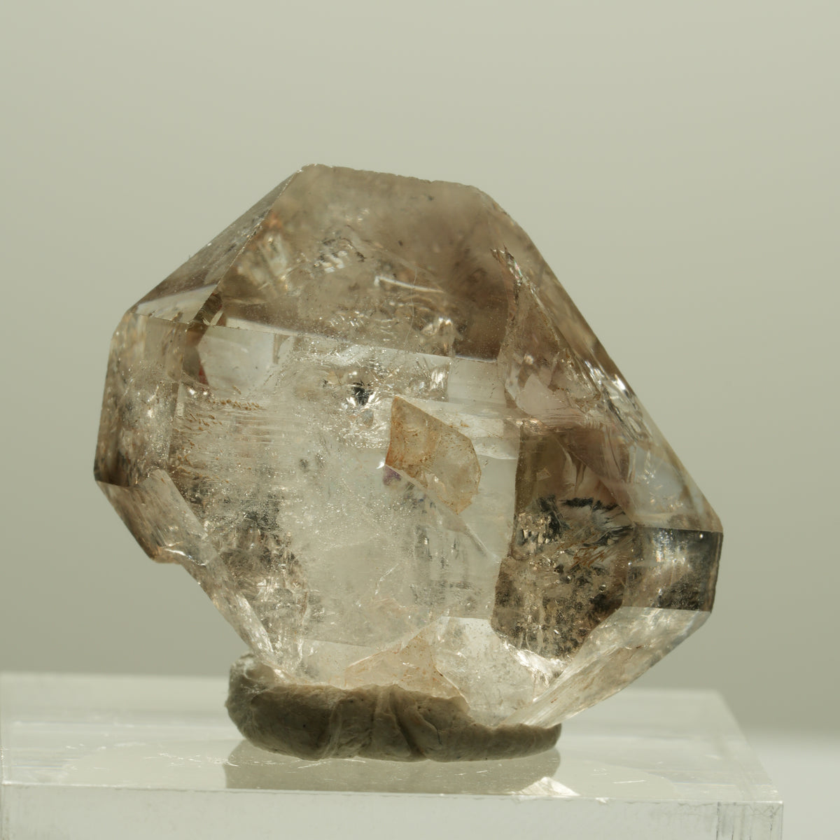 Skelett Phantom Rauchquarz Fenster Zepter Doppelender Spitze Goboboseb, Namibia 25*20*13mm #14236