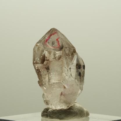 Enhydro Phantom Rauchquarz Skelett Doppelender, 1x Blase Goboboseb, Namibia 27*15*14mm #14246
