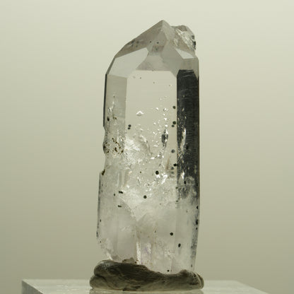 Seltene Skelett Phantom Amethyst mit Hämatit Streep Mine Goboboseb Namibia 35*12*11mm #14253