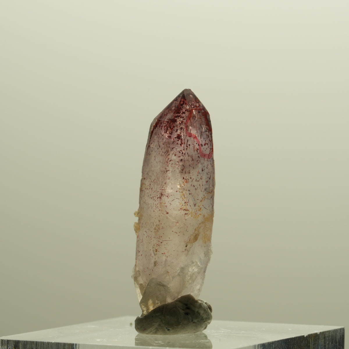 Enhydro Harlekin Phantom Amethyst Spitze, 1x Blase Goboboseb, Namibia 28*9*8mm #14256