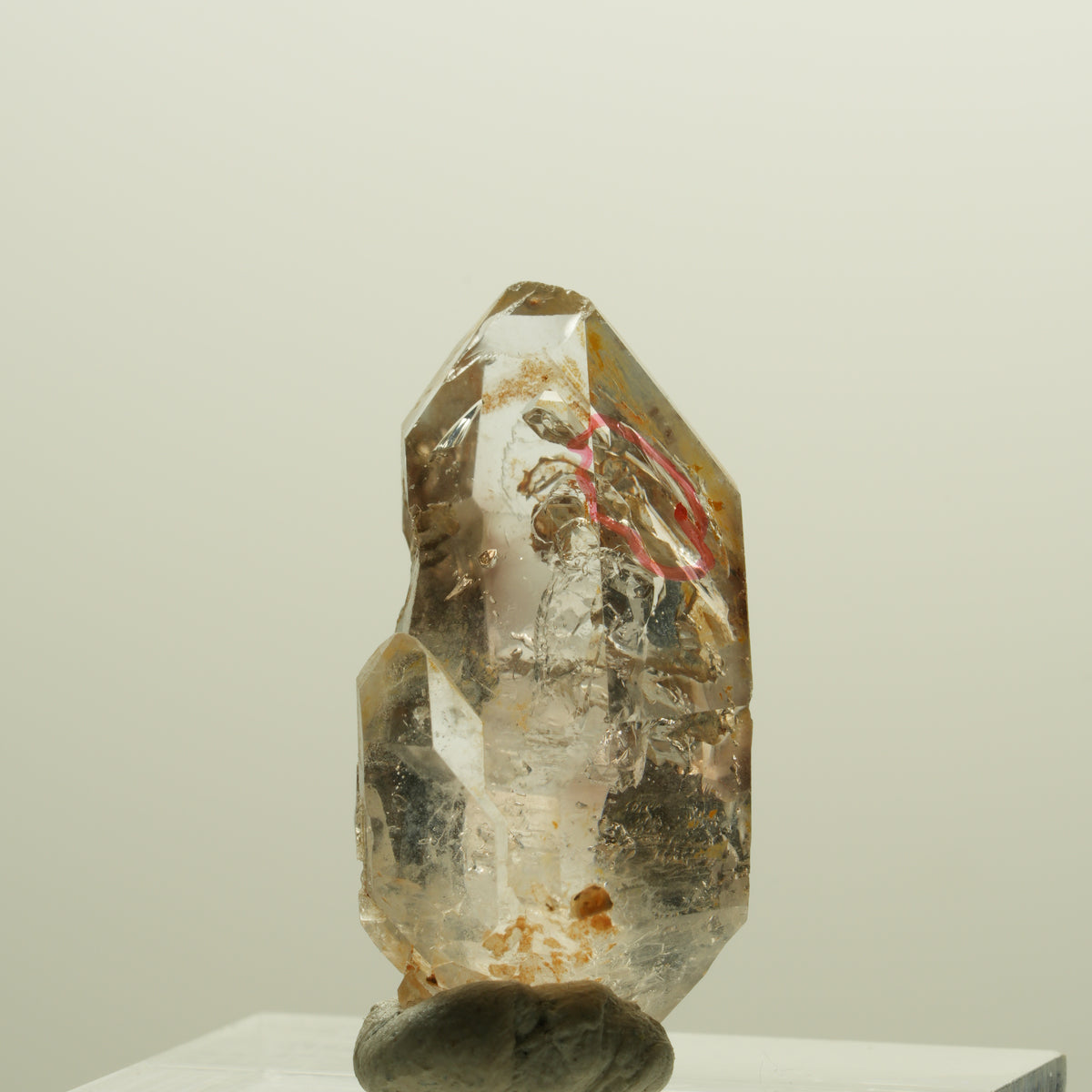 Enhydro Phantom Rauchquarz Skelett Doppelender, 1x Blase Goboboseb, Namibia 27*15*13mm #14261