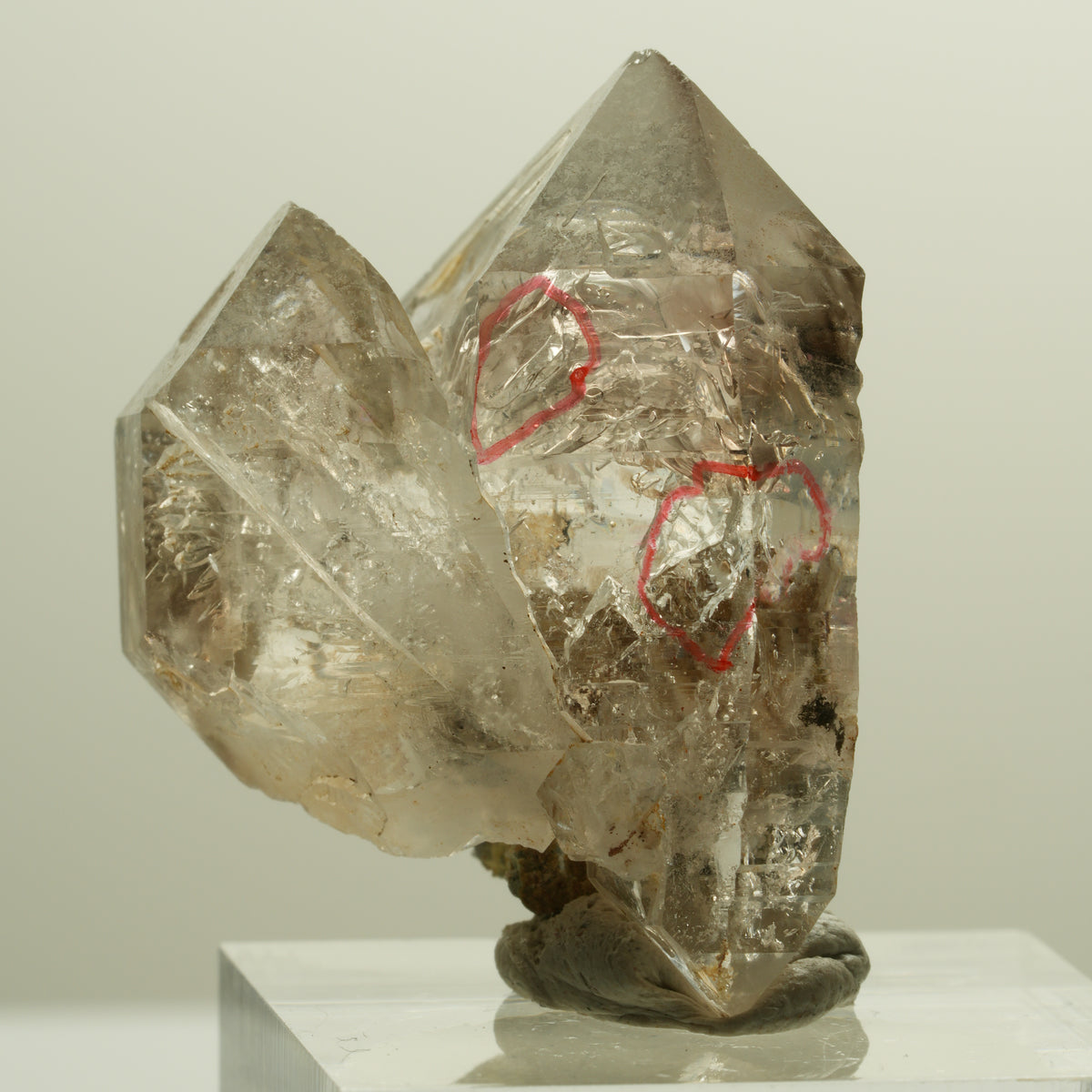 Enhydro Phantom Rauchquarz Skelett Doppelender, 2x Blase Goboboseb, Namibia 34*28*21mm #14262