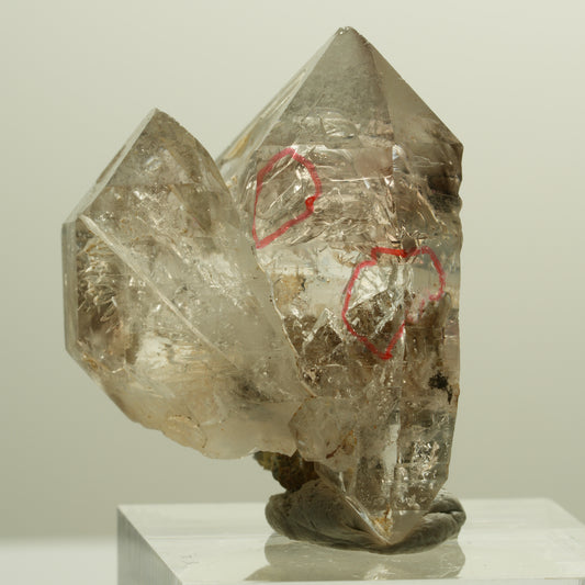 Enhydro Phantom Rauchquarz Skelett Doppelender, 2x Blase Goboboseb, Namibia 34*28*21mm #14262